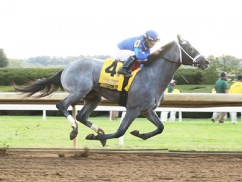 Godolphin Derby Quest Stretches From England to Japan Image 1